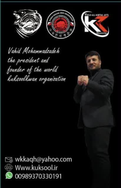استاد ارشد کوک سول کوان وحید محمدزاده