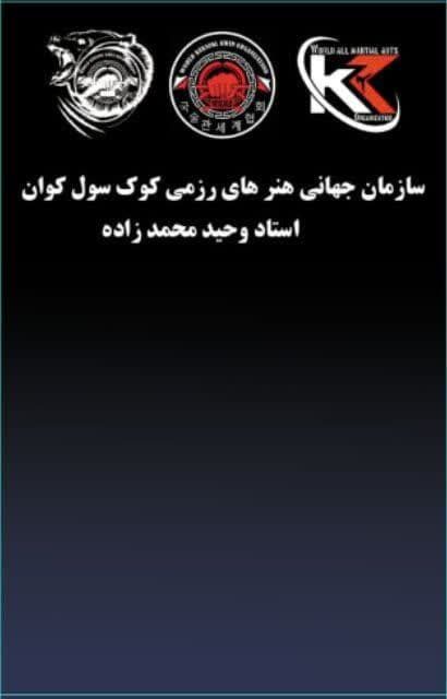 استاد ارشد کوک سول کوان وحید محمدزاده